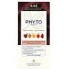 Image de PHYTOCOLOR #6.66-Brun Cerise Clair Intense