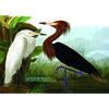 Image de Herons 1000 Pièces Kiub