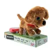 Image de Peluche Filoguidée Chien Noisette Marche Avec Moi ! Marron