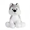 Image de Bouillotte Déhoussable Husky Blanc