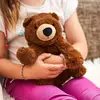 Image de Peluche Bouillotte Ours Brun Marron