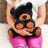 Image de Peluche Bouillotte Ours Noir Noir