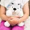 Image de Peluche Bouillotte Husky Blanc