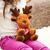 Image de Peluche Bouillotte Elan Hiver Marron