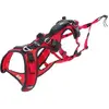 Image de Harnais pour chien I-DOG Confort Trek Rouge S I03RS