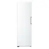 Image de LG Congélateur 1 porte 324L Total No Frost Compresseur Smart Inverter - GFT61SWCSE