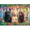 Image de Adorable Scène de Chiots 1000 Pièces Schmidt Spiele
