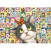 Image de Mimique de Chat 1000 Pièces Schmidt Spiele