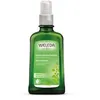 Image de ABEDUL aceite anticelulítico 100 ml