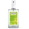 Image de CITRUS déodorant 24h eficacia spray 100 ml