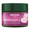Image de Crème de nuit lissante à l’églantier et au thé blanc