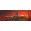 Image de Edition Alexander Von Humboldt - Puzzle Panoramique - Red Dawn 2000 Pièces Heye