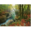 Image de Magic Forests - Little Brook 1000 Pièces Heye