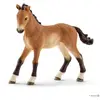 Image de Figurine - Poulain Tennessee Walker Multicolore