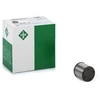 Image de INA 711 0245 10 Pilon, Pompe à haute pression