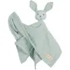 Image de Doudou Lapin En Coton Bio Lil Planet Vert Givré