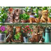 Image de Des Chats sur l'Etagère 500 Pièces Ravensburger