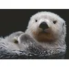 Image de Douce Petite Loutre 500 Pièces Ravensburger
