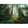 Image de Nature Edition - Dans les Bois 1000 Pièces Ravensburger