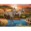 Image de Zèbres au Point d'Eau 500 Pièces Ravensburger