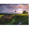 Image de Nature Edition - Rizières au Nord de Bali 500 Pièces Ravensburger