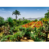Image de Jardin Botanique, Madère 1000 Pièces Ravensburger