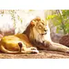 Image de Le Roi de la Savane 1500 Pièces Nathan