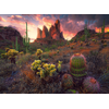 Image de Cactus Et Épines 500 Pièces Ravensburger