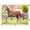 Image de Maman et Bébé Cheval 60 Pièces Nathan