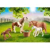 Image de Country Poneys Avec Poulains 70682 Multicolore