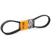 Image de CONTITECH 2XAVX13X1100 Jeu de courroies trapézoïdales