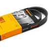 Image de CONTITECH 6PK2030 Courroie Poly-V