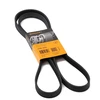 Image de CONTITECH 5PK1815 Courroie Poly-V