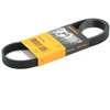 Image de CONTITECH 6PK1054 Courroie Poly-V