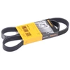 Image de CONTITECH 6PK1125 Courroie Poly-V