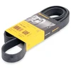 Image de CONTITECH 7PK1867 Courroie Poly-V