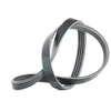 Image de CONTITECH 4PK775 Courroie Poly-V