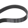 Image de CONTITECH 6PK1244 Courroie Poly-V
