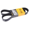 Image de CONTITECH 8PK1226 Courroie Poly-V