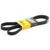 Image de CONTITECH 7PK1642 Courroie Poly-V
