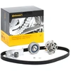 Image de CONTITECH CT909WP2 Pompe à Eau + Kit De Distribution Nbr. dents: 150