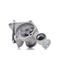 Image de INA 538 0590 10 Pompe à eau pour système dentrainement à courroie trapézoïdale nervures