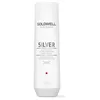 Image de Shampoing ARGENT 250 ml