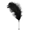 Image de Plumeau Plume Noire