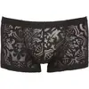 Image de Boxer Noir Baroque