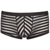 Image de Boxer Rayé Transparent