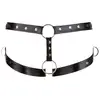 Image de Boxer Gladiator