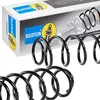 Image de BILSTEIN 38-236655 Ressort de suspension Essieu arrière