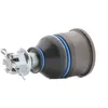 Image de FEBI BILSTEIN 19387 Rotule de suspension Essieu avant droit