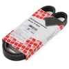 Image de FEBI BILSTEIN 28828 Courroie Poly-V